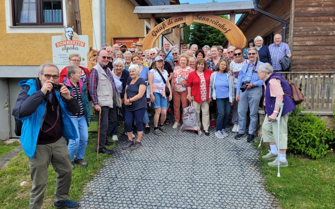 Senioren-Busausflug zum Alpakahof Sonnseitn