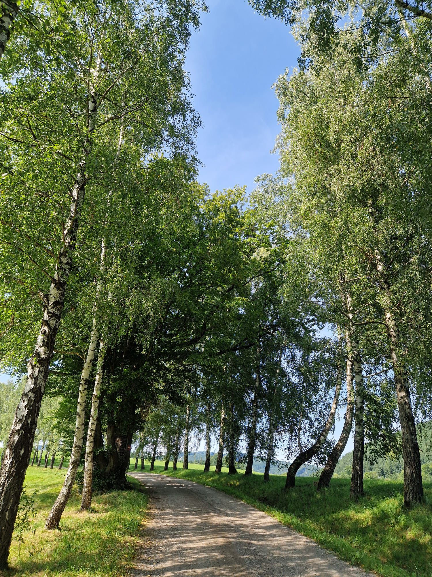 Wallfahrtahd2524