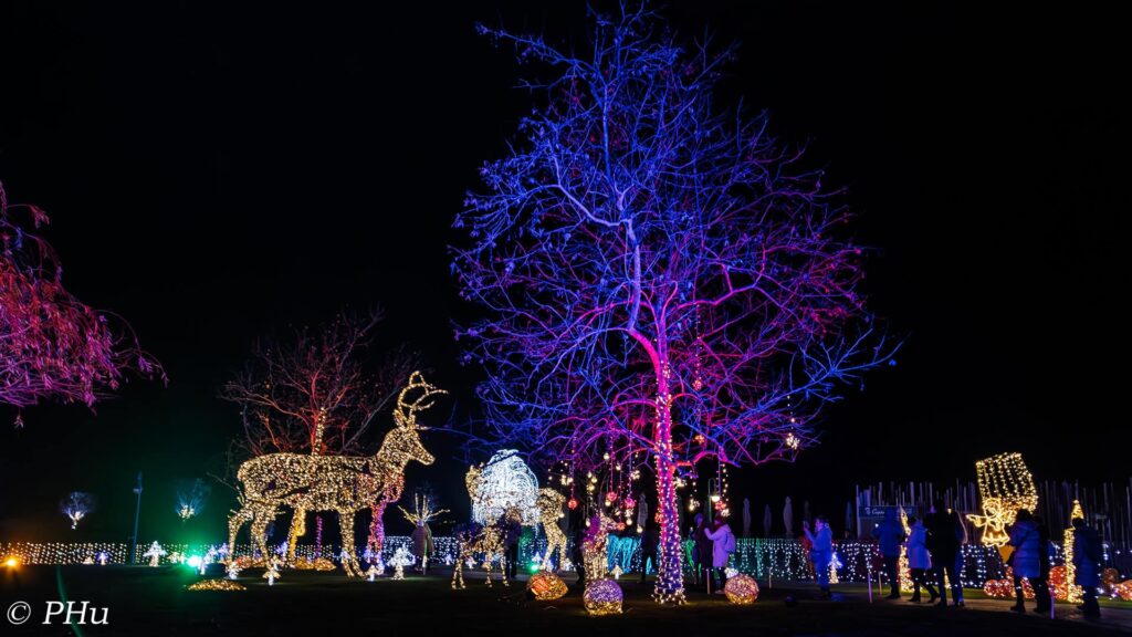 Adventfahrt 2025 10 1