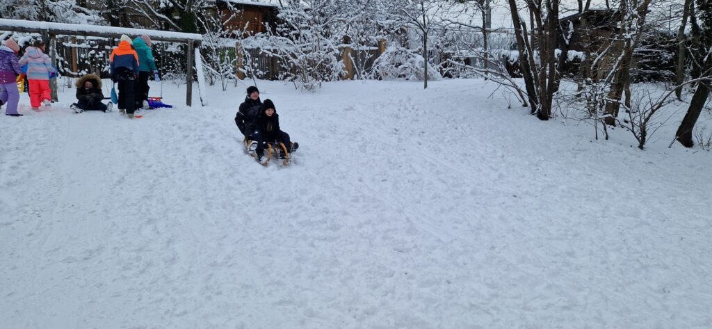 20260220 163046 Resized