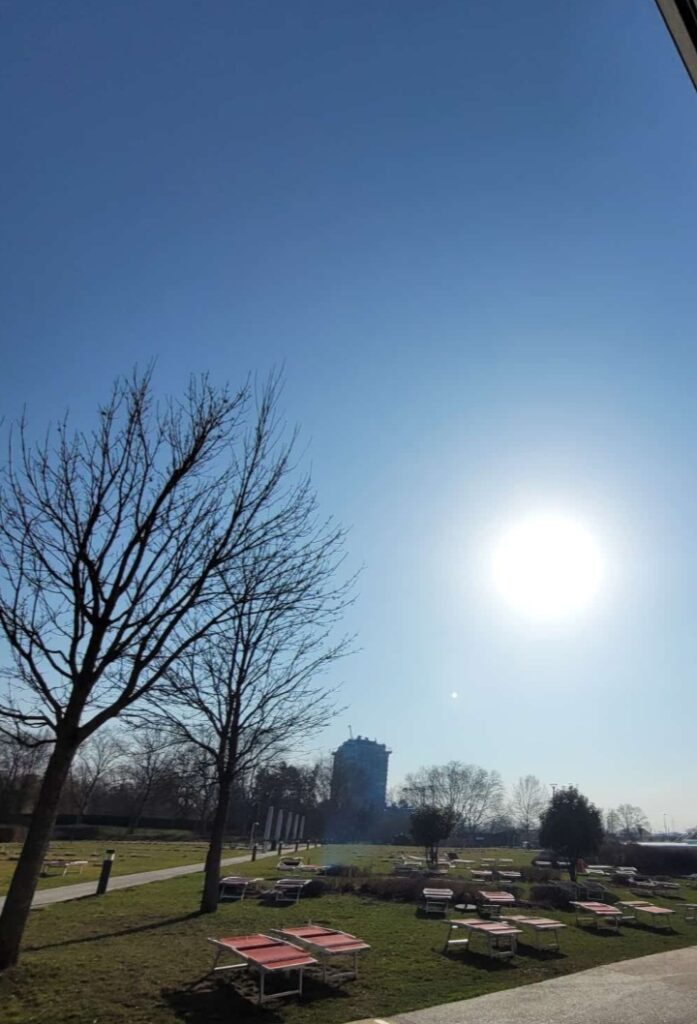 Screenshot 20260307 104140 WhatsApp