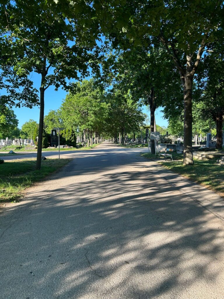 Friedhof02