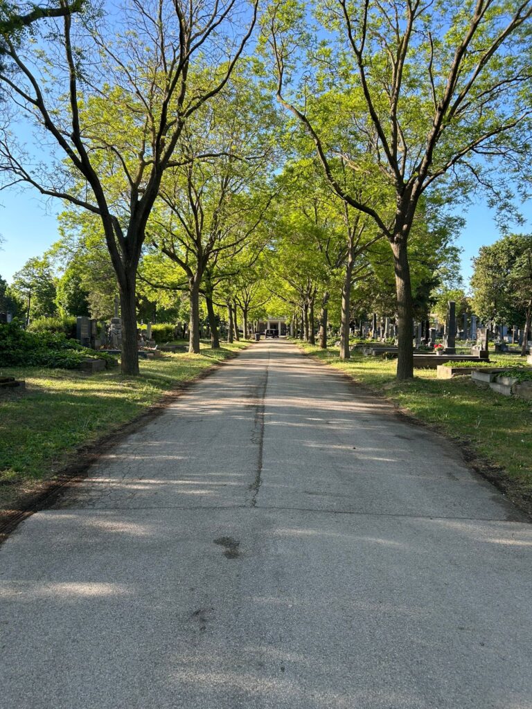 Friedhof04