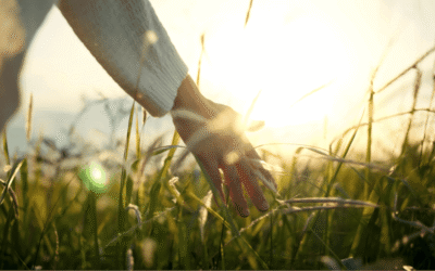 Zueinander finden – Gott neu begegnen